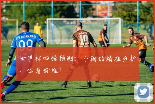 世界杯四强预测：小猪的精准分析，你看好谁？
